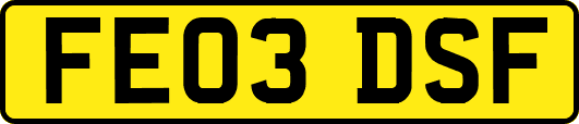 FE03DSF