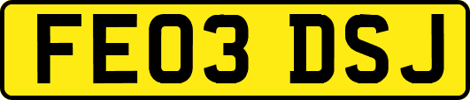 FE03DSJ