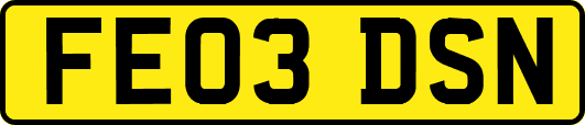 FE03DSN
