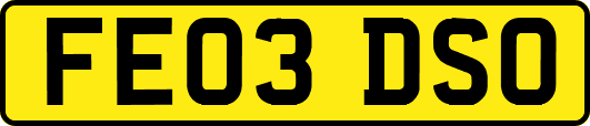 FE03DSO