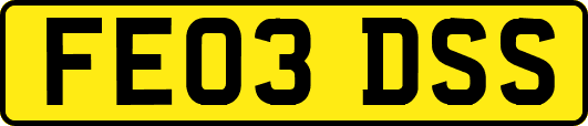 FE03DSS