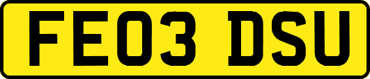 FE03DSU