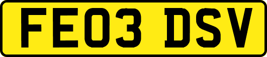 FE03DSV