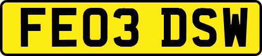 FE03DSW
