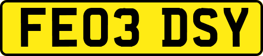 FE03DSY