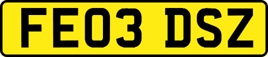 FE03DSZ