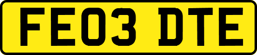 FE03DTE