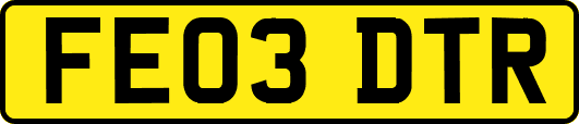 FE03DTR