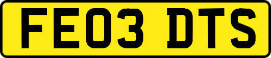 FE03DTS