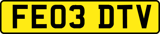 FE03DTV