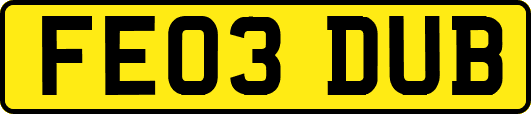 FE03DUB