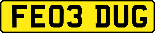 FE03DUG