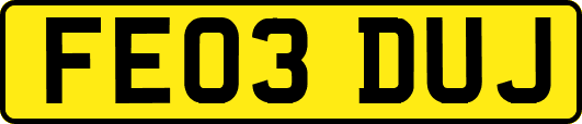 FE03DUJ