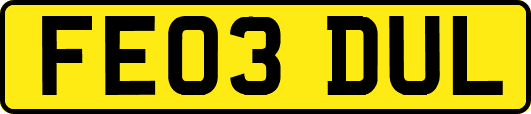 FE03DUL