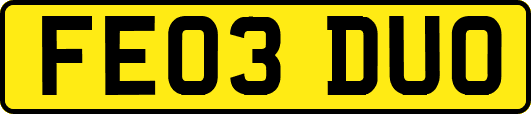 FE03DUO