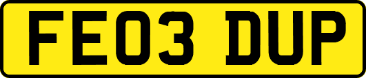 FE03DUP