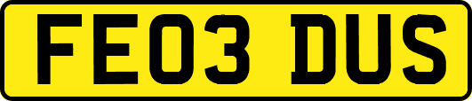 FE03DUS