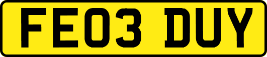 FE03DUY