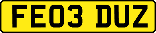 FE03DUZ