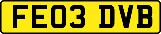 FE03DVB