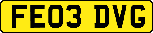 FE03DVG