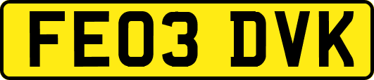 FE03DVK