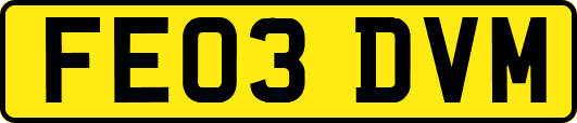 FE03DVM