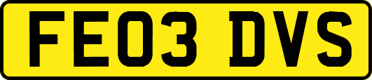 FE03DVS