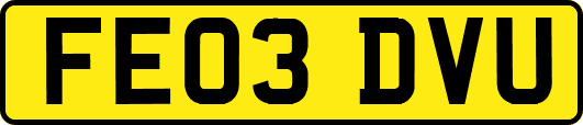 FE03DVU