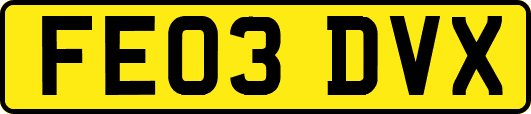 FE03DVX