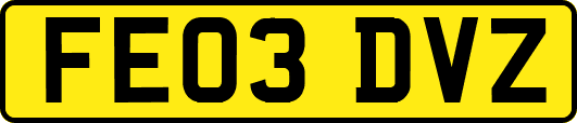 FE03DVZ