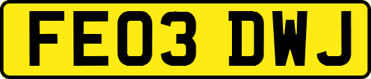 FE03DWJ