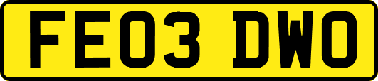 FE03DWO