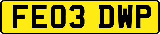 FE03DWP