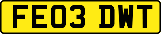 FE03DWT