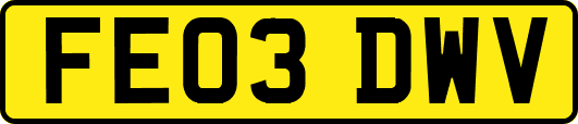 FE03DWV