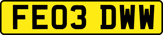 FE03DWW