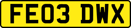 FE03DWX