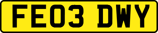 FE03DWY