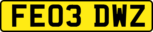 FE03DWZ