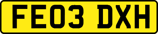 FE03DXH
