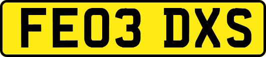 FE03DXS