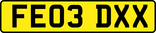 FE03DXX