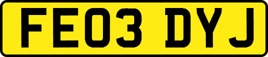 FE03DYJ