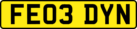 FE03DYN