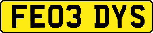FE03DYS