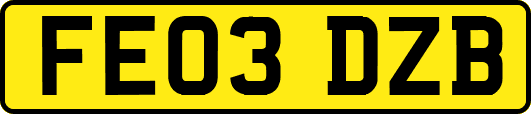 FE03DZB