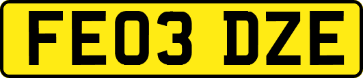 FE03DZE