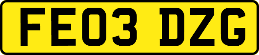 FE03DZG