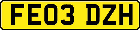 FE03DZH